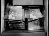 paperlions_web-38