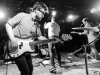 paperlions_web-60